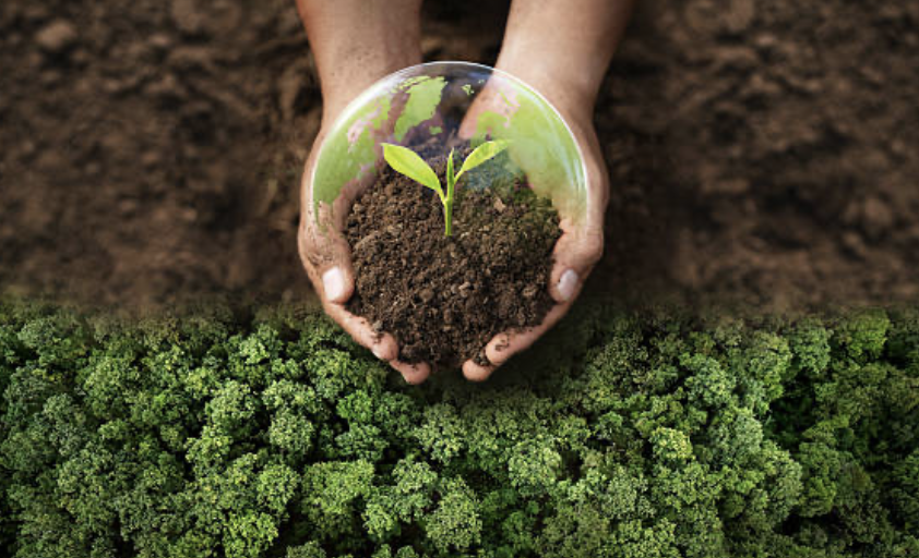 environnement