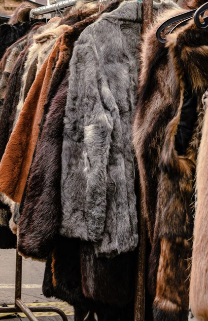 manteau fourrure 